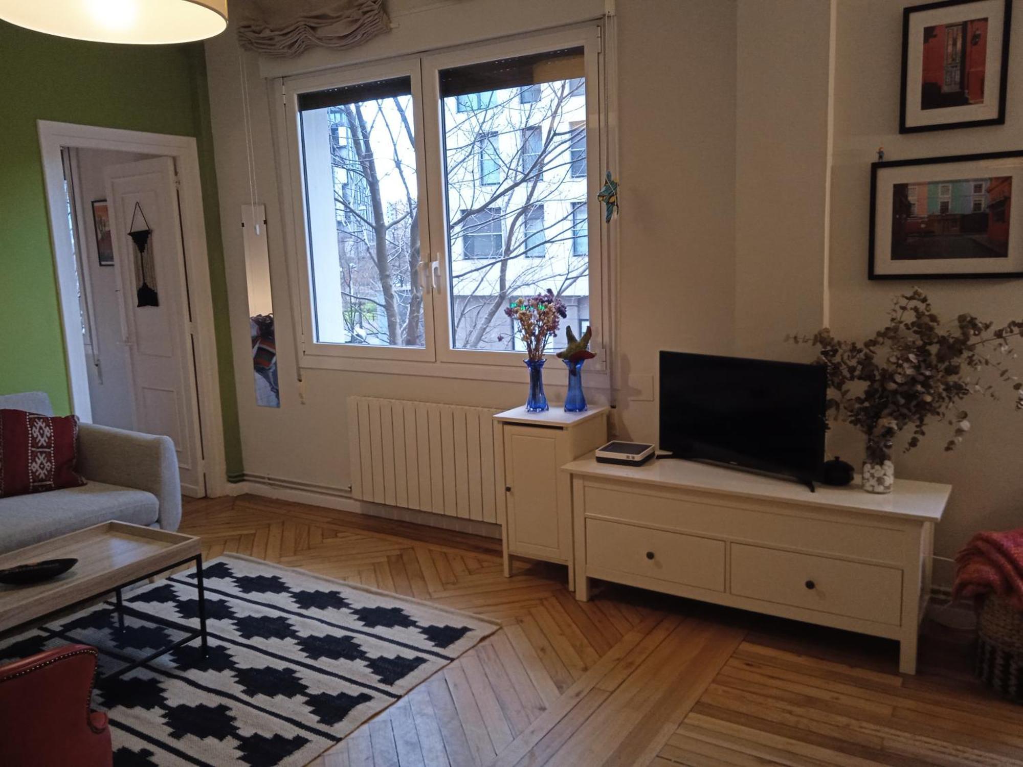 Apartamento Guggenheim Centrico Y Confortable Bilbao Bagian luar foto
