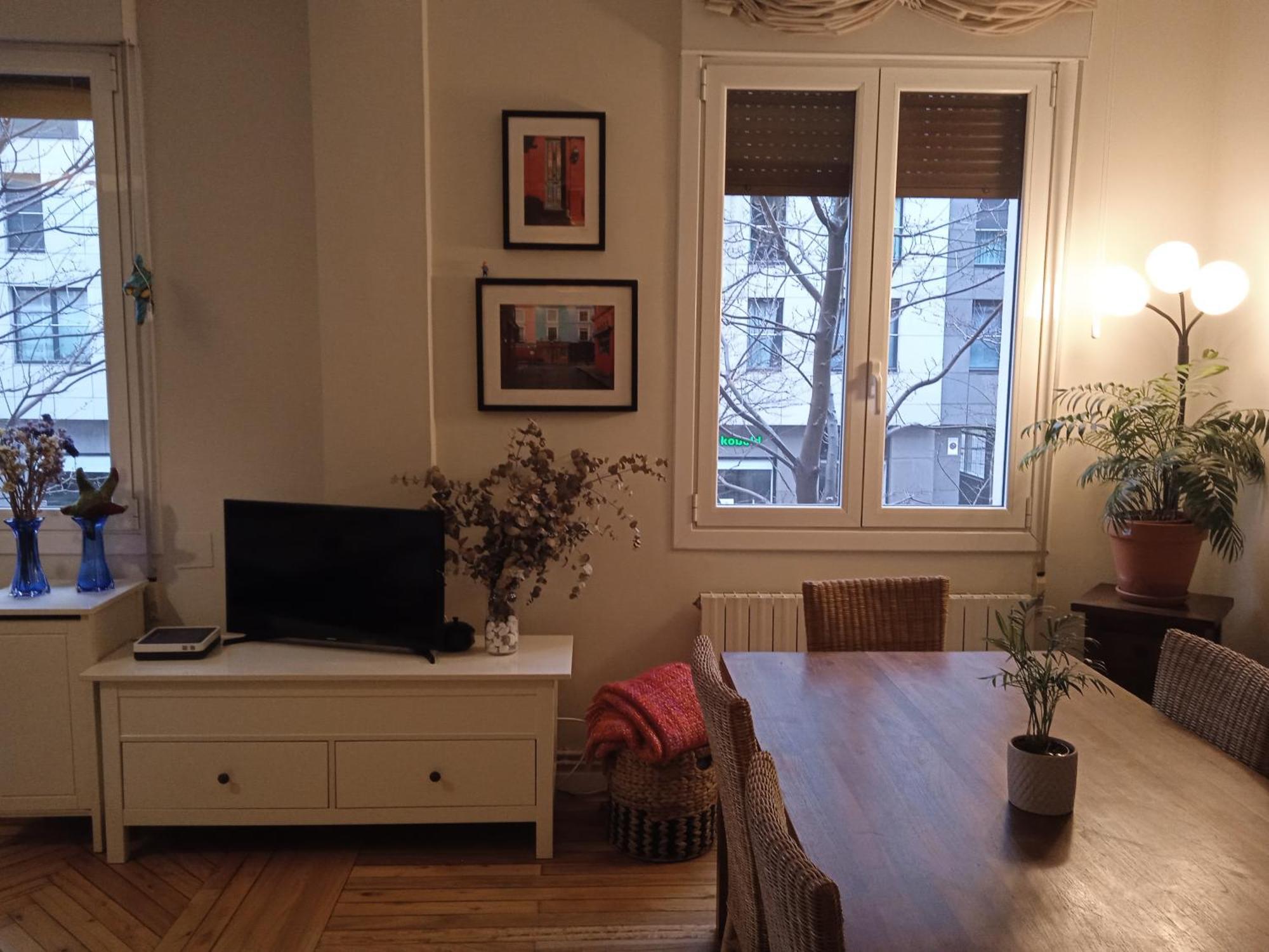 Apartamento Guggenheim Centrico Y Confortable Bilbao Bagian luar foto